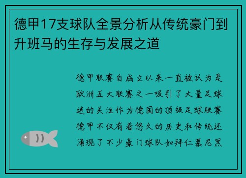 德甲17支球队全景分析从传统豪门到升班马的生存与发展之道