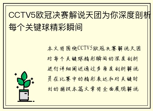 CCTV5欧冠决赛解说天团为你深度剖析每个关键球精彩瞬间