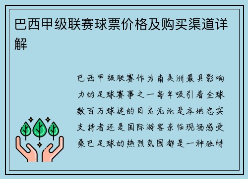 巴西甲级联赛球票价格及购买渠道详解